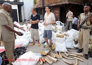 "Kagasheki unveils Chinese ivory haul in Dar es Salaam"  