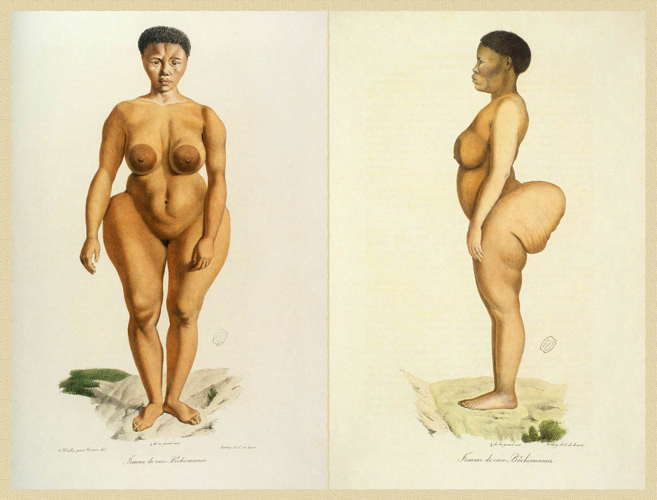 Sawtche, named Sarah "Saartjie" Baartman in Europe (ca.1790 - 1815), called the Hottentot Venus, captured in South Africa, exhibited in Europe as a freak show attraction, forced into prostitution, studied as a specimen of "Woman of race Bôchismann" in 1815 by Étienne Geoffroy Saint-Hilaire and Georges Cuvier, which deduced theories on the inferiority of some human races. [Image and caption courtesy of Wikimedia]
