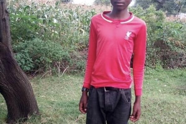 boy in red sweater standing behind maize farm